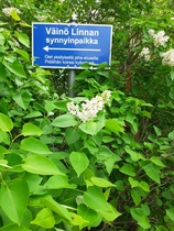 Väinö Linnan synnyinpaikka Urjalassa